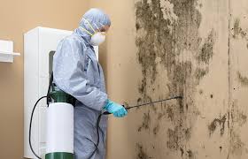 Trusted Anton, TX Mold Inspection Experts